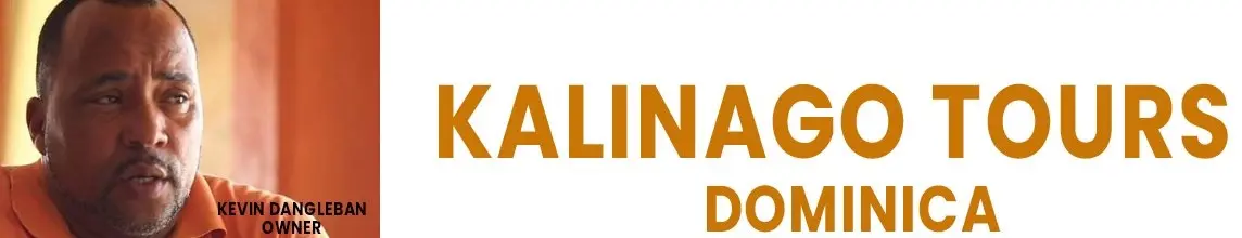 A horizontal banner for Kalinago Tours Dominica. On the left side is a close-up portrait of the owner, Kevin Dangleban, a man with a goatee wearing an orange polo shirt. To the right, the words "KALINAGO TOURS" are written in large, bold orange capital letters, with "DOMINICA" centered directly underneath in the same style against a clean white background.