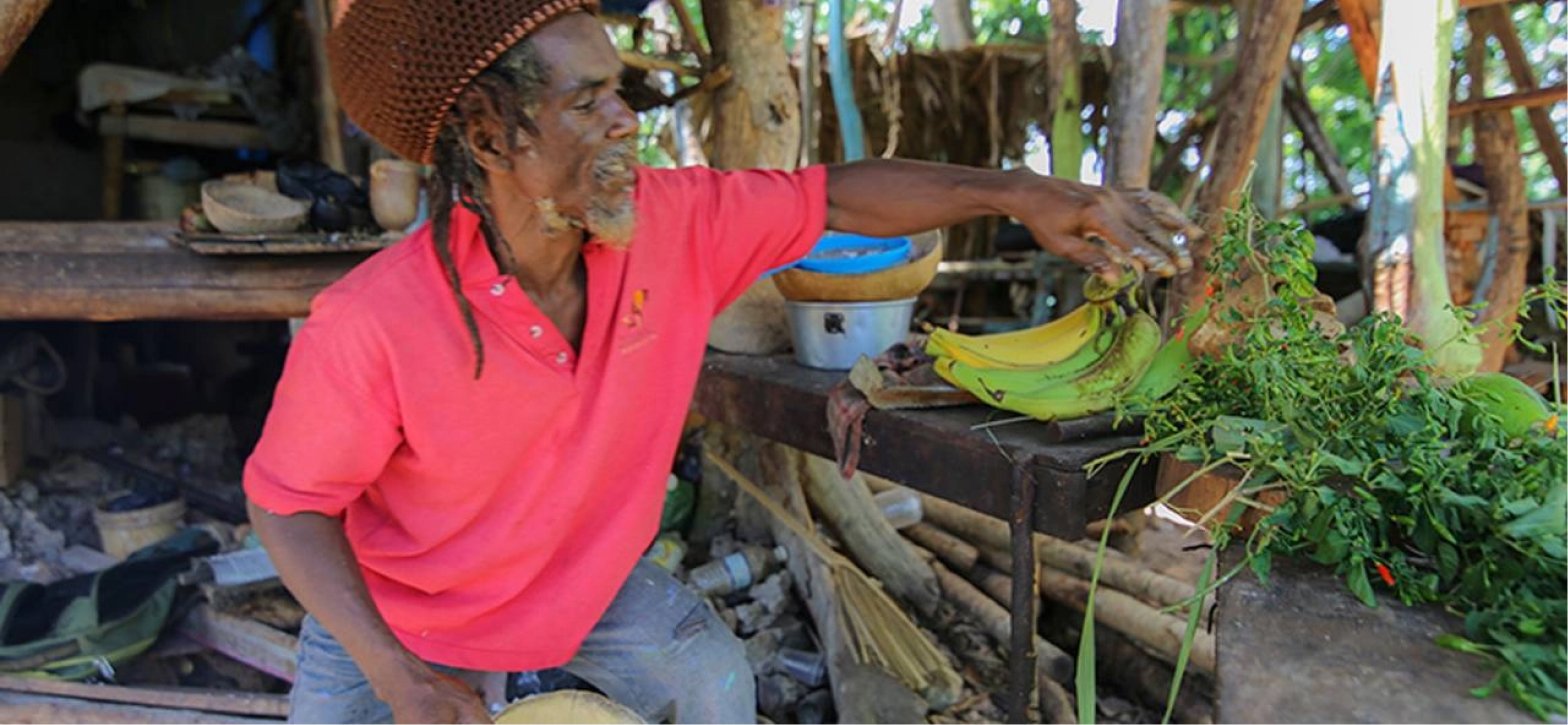 A man in a vibrant pink golf shirt and Rastacap sets a bunch of bananas beside greens on an outdoor bench.