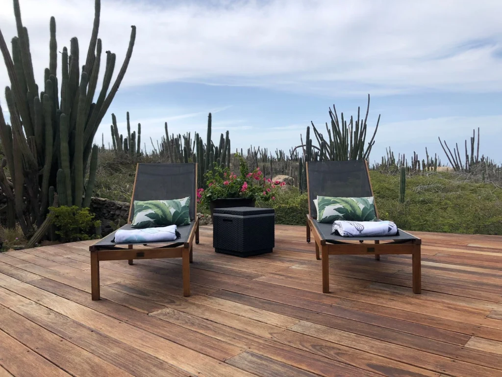 A ground-level photo of two wooden and black mesh sun loungers, each topped with a rolled white towel and a tropical-print pillow, set on a natural wood deck. Between them is a small, black woven end table. The background is dominated by a dense, dramatic landscape of tall, spiky cactus plants under a bright sky.