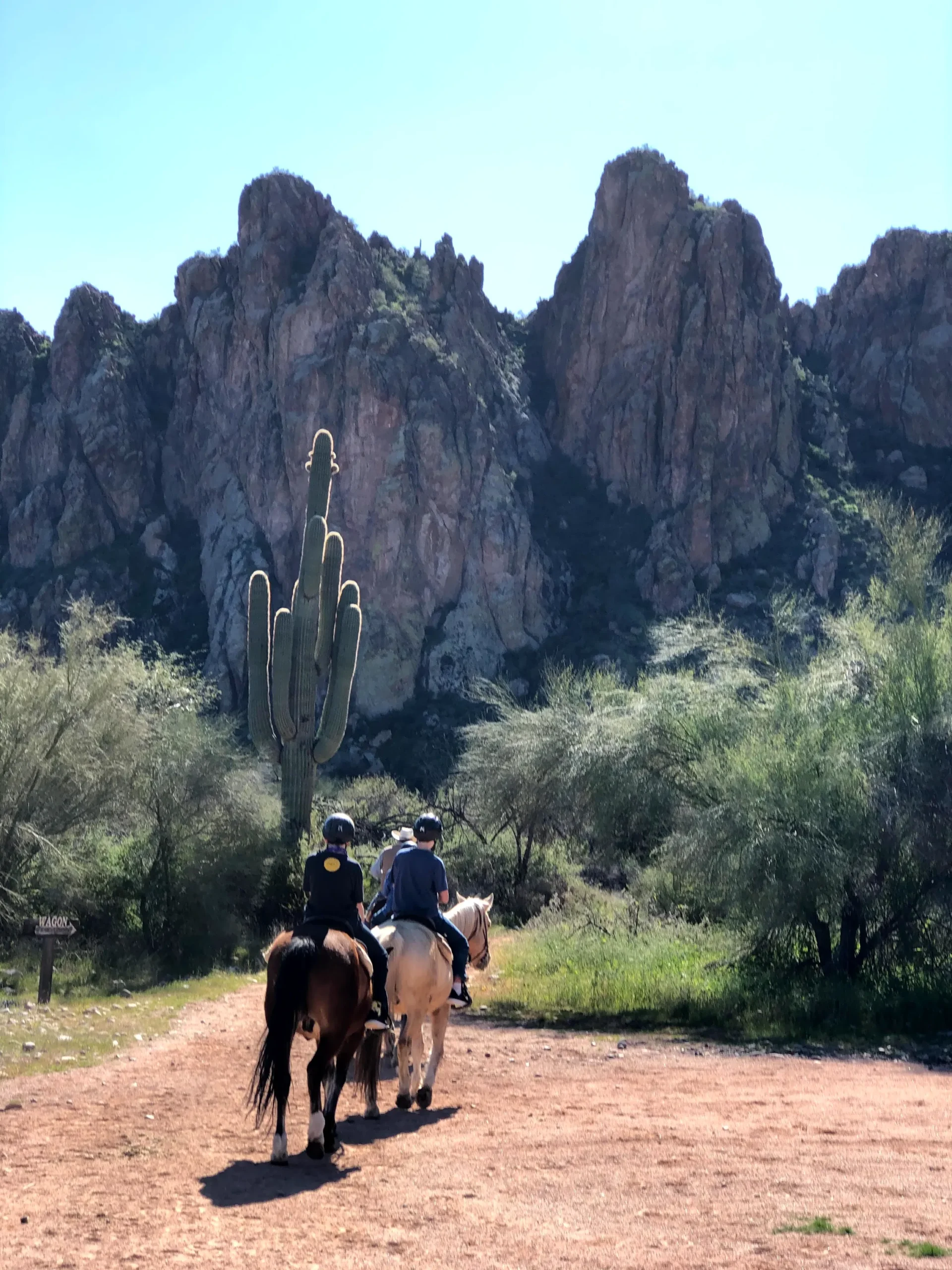 Two riders on horseback are traveling away from the camera on a dusty dirt trail in a dry, mountainous desert landscape. The horse on the left is dark brown, and the horse on the right is light tan. In the background, a massive, towering saguaro cactus stands prominently, backed by immense, rugged, dark brown rock formations under a clear blue sky. Scrub brush and desert trees line the trail.