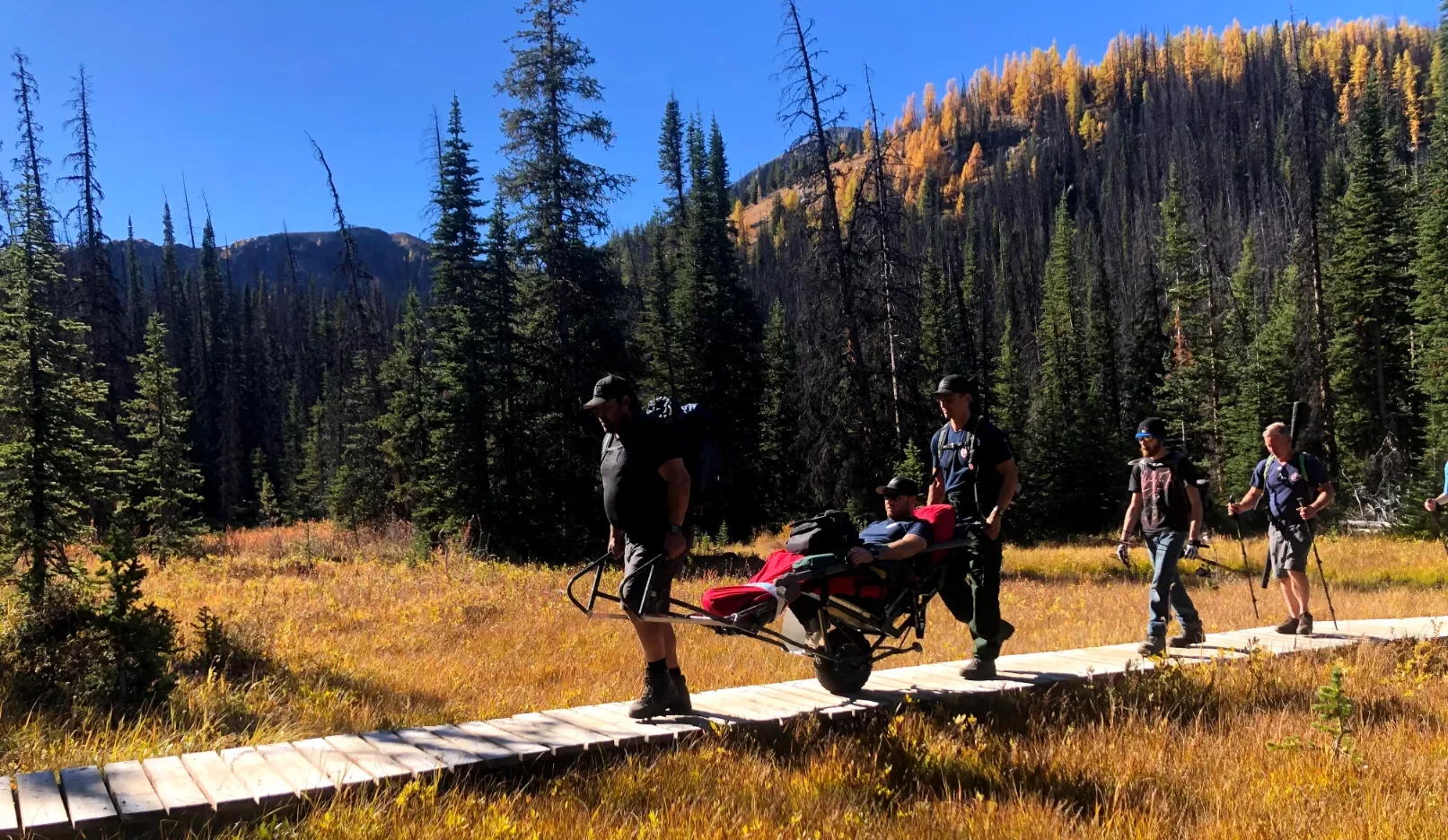 Four hikers are navigating a narrow wooden boardwalk that crosses a vast, golden-colored marsh or meadow in a mountainous wilderness area. They are working together to transport a person lying down in a specialized, single-wheeled wilderness chair or stretcher. The men are carrying backpacks, suggesting a long trek. The area is surrounded by dense evergreen forests, and the background features a mountain slope with tall pine trees and a distinct line of golden yellow deciduous trees, indicating the autumn season, under a clear blue sky.