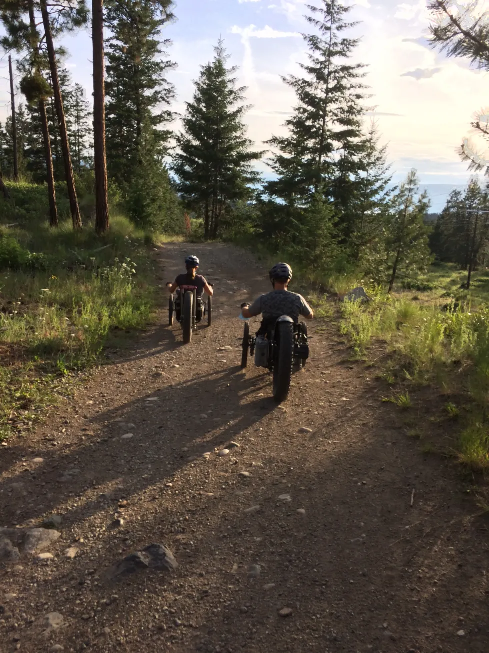 Two people are riding all-terrain handcycles or adaptive bikes away from the camera on a dusty, unpaved trail through a coniferous forest. Both riders are wearing helmets. The trail is lined with tall pine trees, grass, and scrub brush, with a view of a distant landscape visible through the trees in the background. The lighting suggests late afternoon or early evening.