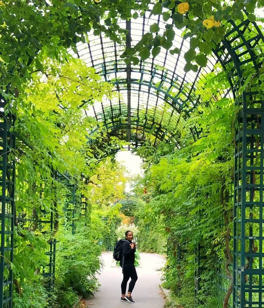 A photo of a person wearing all black clothing and a backpack, standing on a pathway looking over their shoulder inside a long, arched trellis tunnel. The metal trellis is completely covered in lush green vines and leaves, creating a bright green canopy overhead.