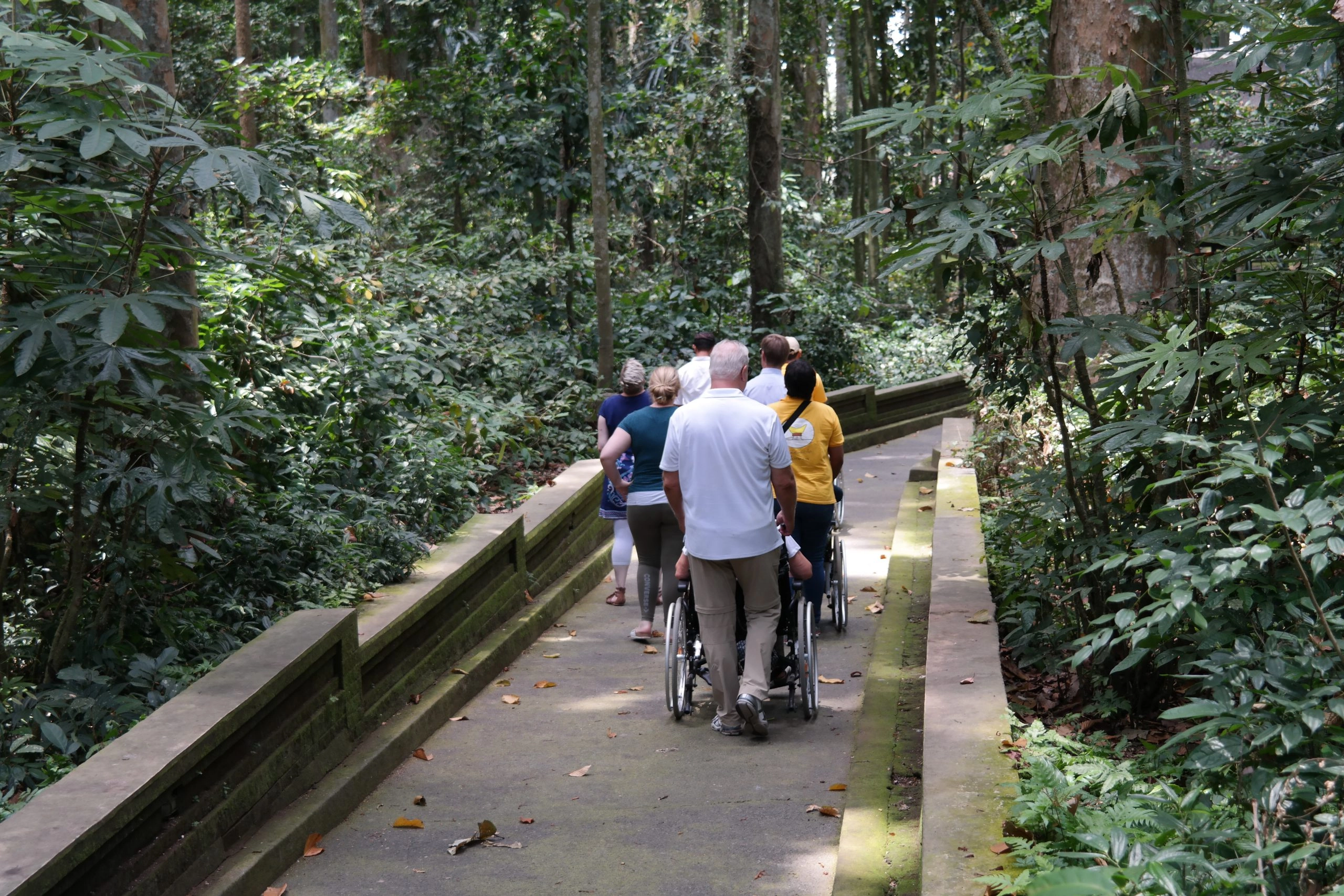 A group of tourists walking down a paved, accessible ramp/pathway through a dense green forest. The pathway has low concrete railings on both sides. The person at the back of the group is pushing a wheelchair.