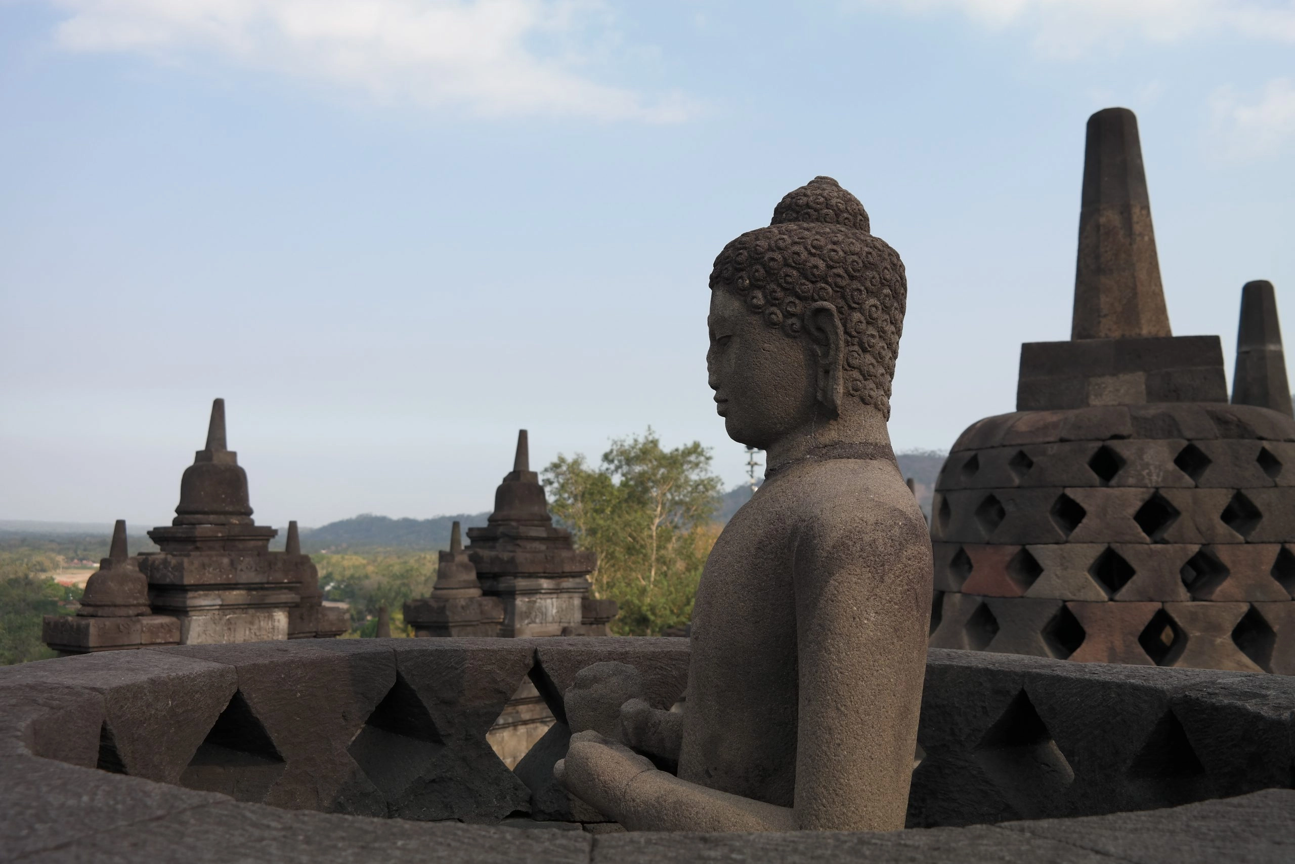 A close-up side view of a seated stone Buddha statue, facing left, partially enclosed within a diamond-patterned stone stupa at the Borobudur temple in Indonesia. Several other small, stone, bell-shaped stupas are visible in the background against a pale blue sky and a landscape of green trees and distant hills.