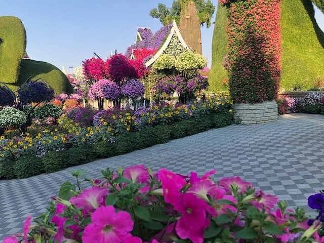 A colorful display of landscaped gardens, likely in the Dubai Miracle Garden, featuring topiaries, flower-covered structures, and beds of pink, purple, and yellow blossoms. The foreground features close-up bright pink petunias, and the pathway is paved with grey and white checkered bricks.