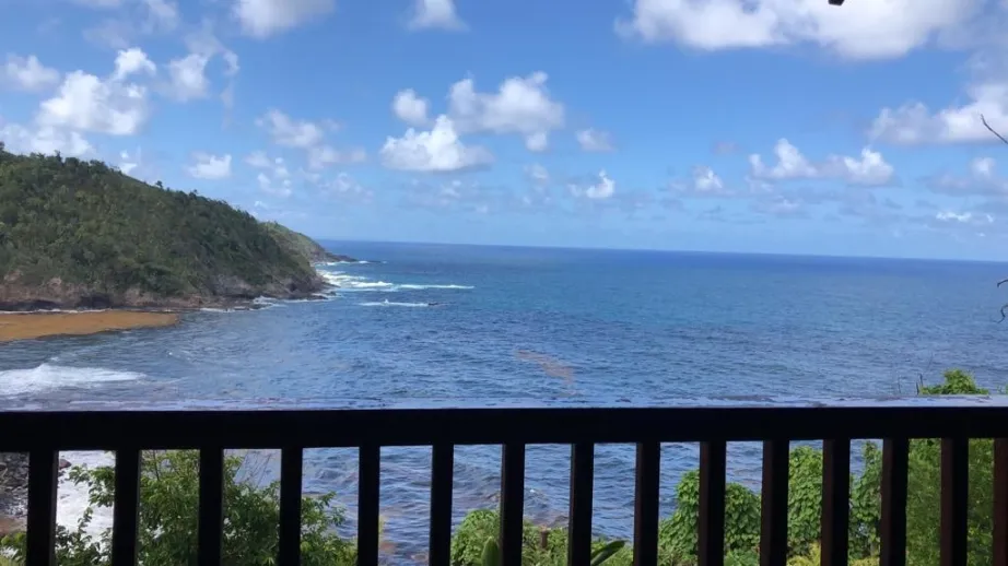 A stunning, sunlit view of the deep blue ocean and rugged coastline seen over a dark wooden balcony railing in the foreground. The water is crashing against a forested green hill on the left, and patches of brown seaweed are visible near the shore. The sky is bright blue with scattered white, fluffy clouds.