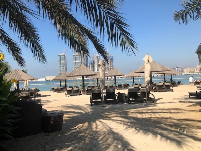 A sunny beach scene, likely in Dubai, featuring rows of dark lounge chairs and straw-thatched umbrellas on white sand. Palm fronds hang into the frame from the top, casting shadows. In the distance, several modern high-rise buildings are visible across the water.