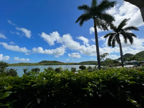 A vibrant, sunny view from a restaurant level overlooking a lagoon or bay in Antigua. The foreground features thick green hedges, with two tall, slender palm trees on the right. The calm, pale-blue water of the lagoon fills the middle ground, backed by lush green hills under a bright blue sky dotted with white clouds.