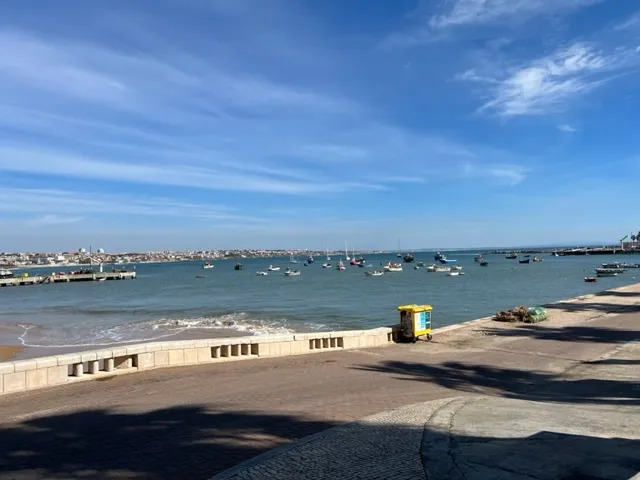 Coastal scene with a stone promenade overlooking a blue harbor filled with small fishing boats and a distant city skyline under a sunny sky.