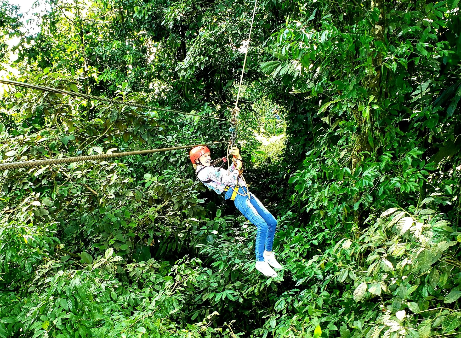 A person wearing a helmet and safety harness is zip-lining high through a dense, lush green jungle or rainforest canopy. They are secured to the cable and appear to be flying through the air, surrounded by thick trees and foliage.