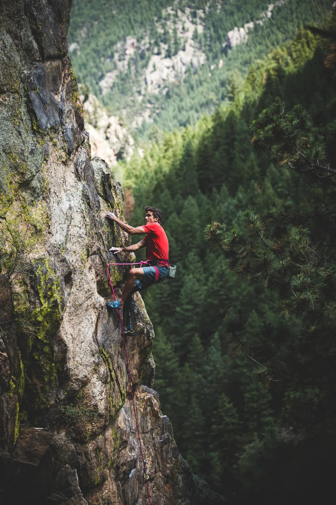 A man in a red shirt rock climbing a dark, mossy cliff face with a dense green forest visible in the background.