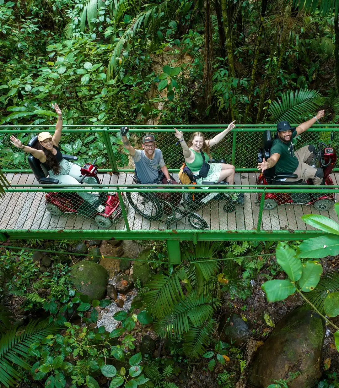 Four joyful people are riding along a metal and wood accessible walkway or bridge through a lush, dense tropical rainforest. Three are riding red mobility scooters and one is sitting in a manual wheelchair. All four are smiling and raising their arms in excitement. The surrounding area is filled with vibrant green foliage, including large ferns and palm leaves.