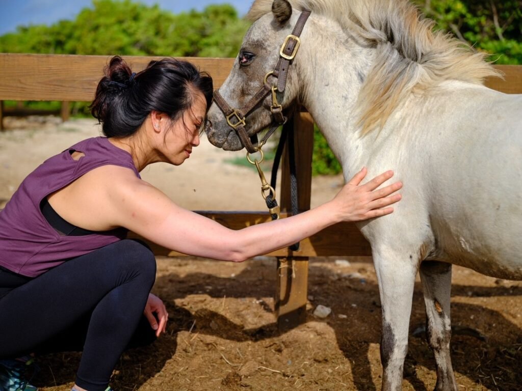 A woman in a purple tank top and black leggings is kneeling and affectionately touching foreheads with a white horse. She has her hand gently placed on the horse's side, creating a moment of connection between human and animal. The horse, which has a light mane and is wearing a halter, stands inside a fenced area with natural sunlight illuminating the scene.