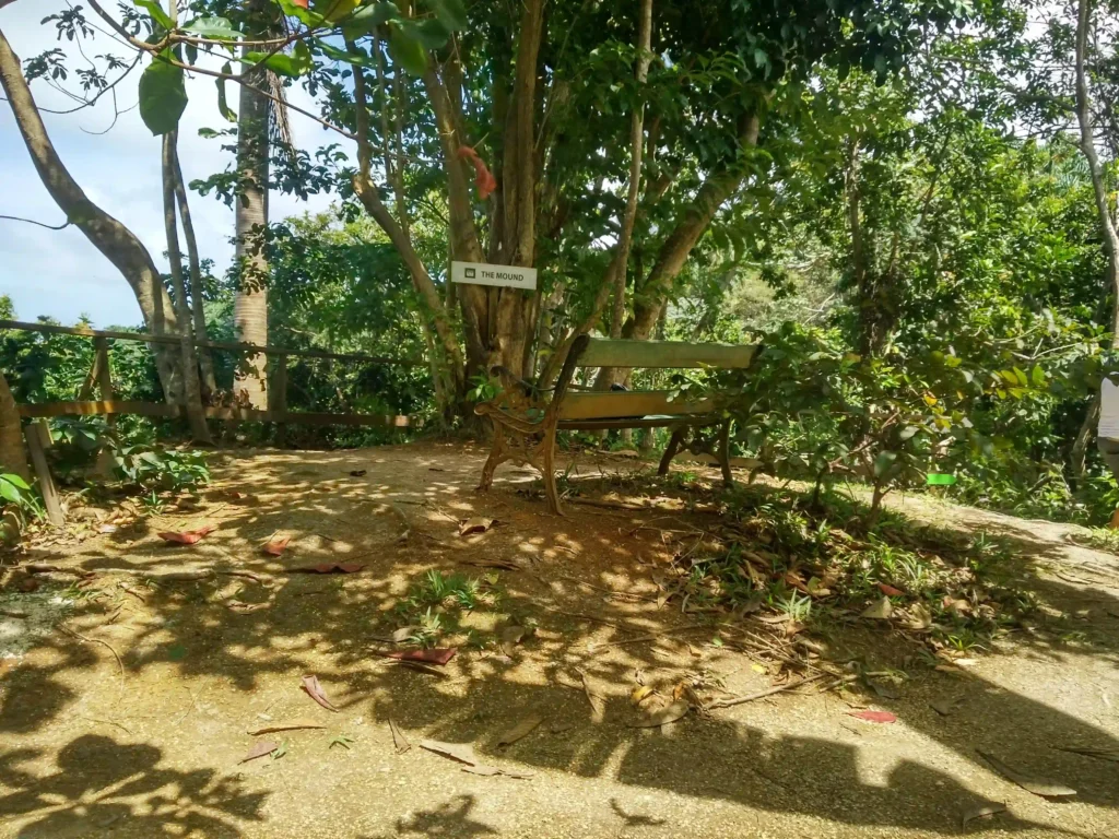 A serene outdoor scene featuring a wooden bench placed under the shade of trees. The ground is covered with dry leaves and dirt, creating a natural, rustic ambiance. The background is lush with greenery, indicating a dense, forested area. A small sign on a tree reads "THE MOUND," giving a name to this peaceful spot. The sunlight filters through the foliage, casting dappled shadows on the ground, enhancing the tranquil atmosphere.