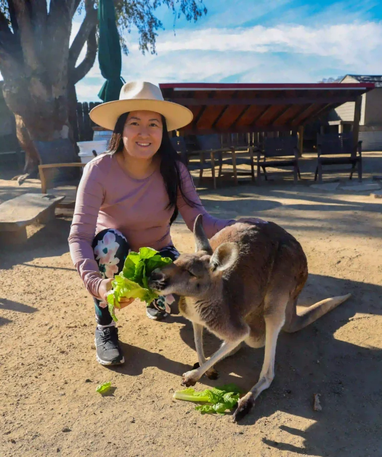 A woman wearing a white hat, a pink long-sleeve shirt, and floral-patterned leggings is crouching down and smiling at the camera while feeding lettuce to a kangaroo. The scene is set outdoors on a sunny day, with wooden furniture and a large tree visible in the background.