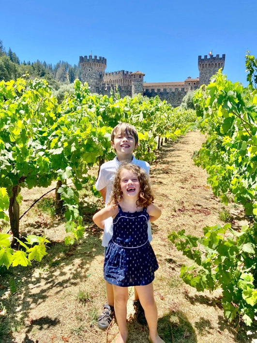 Two smiling children standing in a sunlit vineyard, with rows of green grapevines stretching into the distance. In the background, a castle-like structure stands prominently against a bright blue sky.