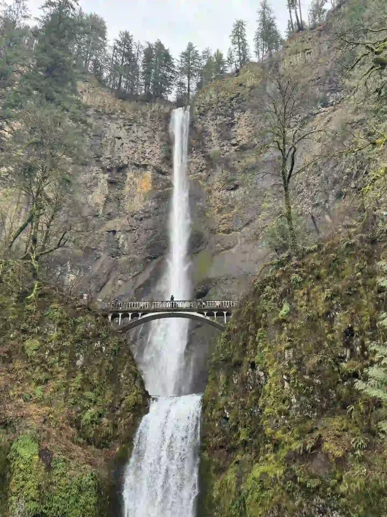 Multnomah Falls, a breathtaking two-tiered waterfall in Oregon, surrounded by lush greenery and rocky cliffs, with a charming pedestrian bridge crossing in front of the cascading water.