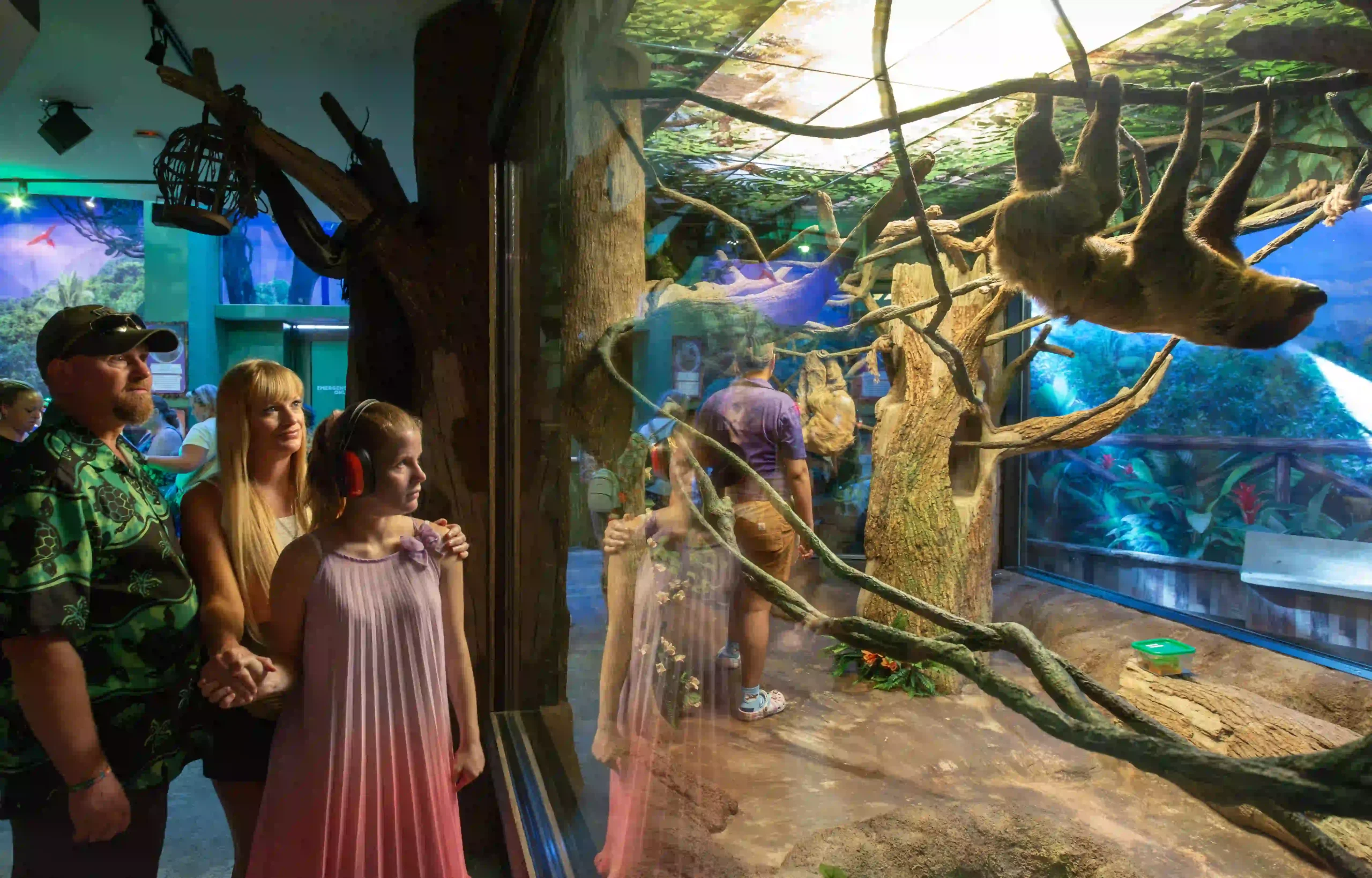 Family observing a sloth in a glass-enclosed exhibit at a sensory-friendly environment. The child in the foreground wears noise-canceling headphones, and the group is surrounded by a jungle-themed display with vibrant greenery and tree branches