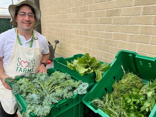 A man wearing glasses, a sun hat, and a white apron with the "Smile Farms" logo is standing outdoors next to green plastic crates filled with freshly harvested leafy greens and herbs. He is smiling at the camera while holding some kale. The crates contain a variety of produce, including kale, lettuce, rosemary, and parsley. The background features a beige brick wall and some outdoor equipment.