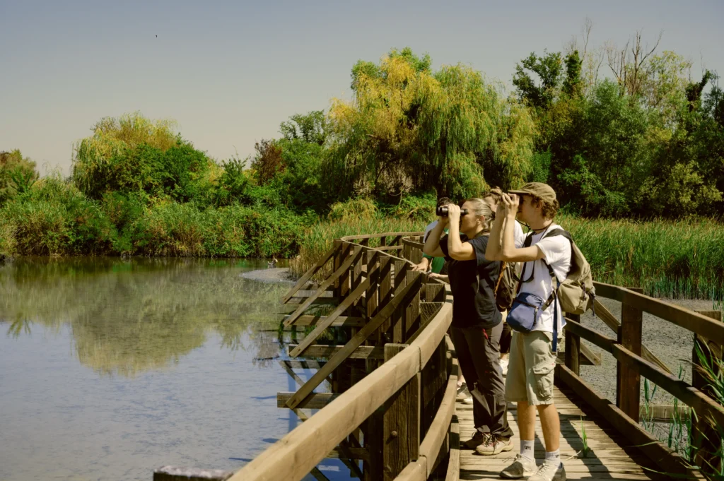 Two people observe nature through binoculars from a wooden walkway beside a calm waterway surrounded by lush greenery.