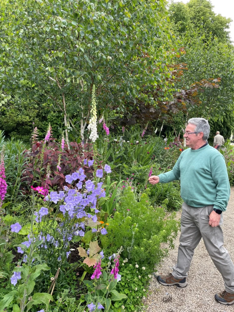 A man strolls through a vibrant garden filled with various colorful flowers and lush greenery under a clear sky.