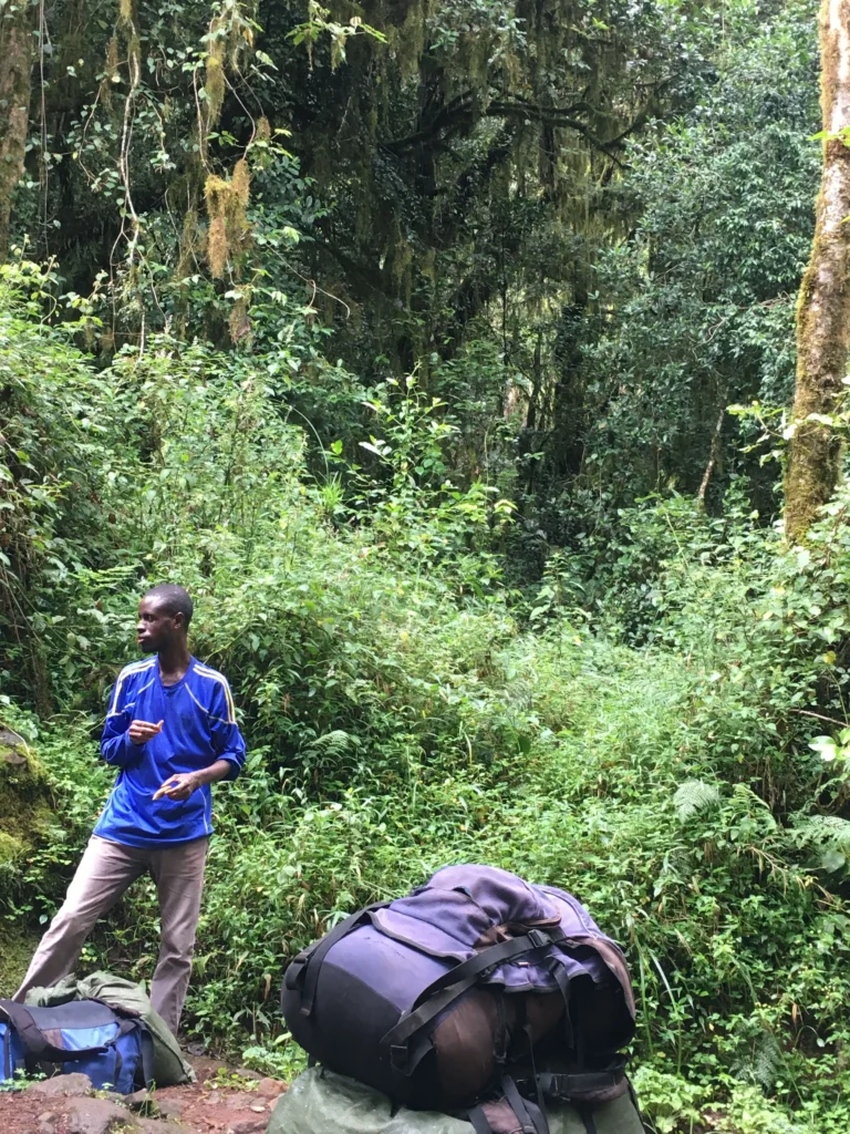 A person in a blue shirt stands near camping gear amidst dense greenery in a lush forest landscape.