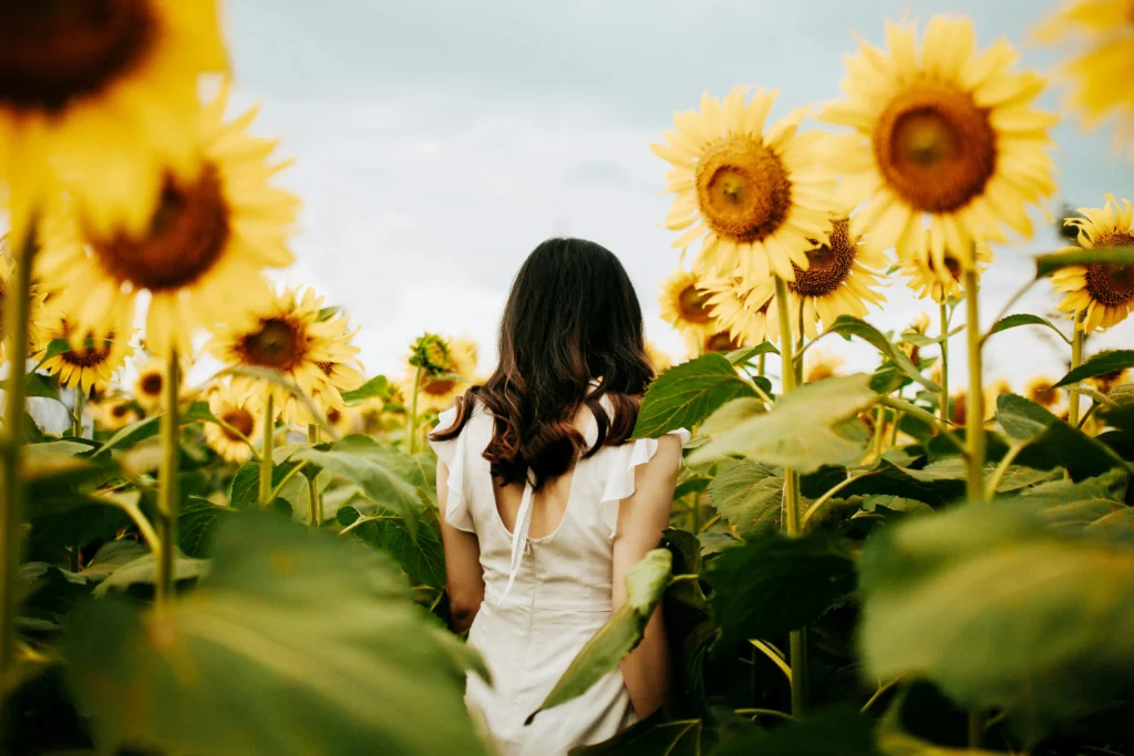 A woman in a white dress stands among tall sunflowers, gazing away, surrounded by vibrant yellow blooms and green leaves.