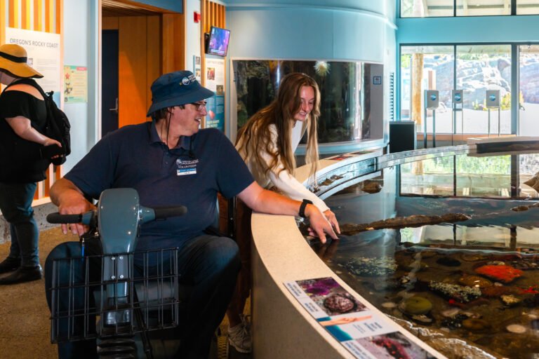 A smiling young woman with long brown hair and a man in a mobility scooter wearing a blue volunteer shirt and bucket hat interact with marine life in a touch tank at an indoor aquarium exhibit. The curved tank is filled with colorful sea creatures including starfish and sea anemones. Informational placards with images and descriptions line the tank’s edge. Behind them, signs about “Oregon’s Rocky Coast” and “Giant Pacific Octopus” are visible on the wall. Large windows allow natural light to brighten the modern exhibit space.