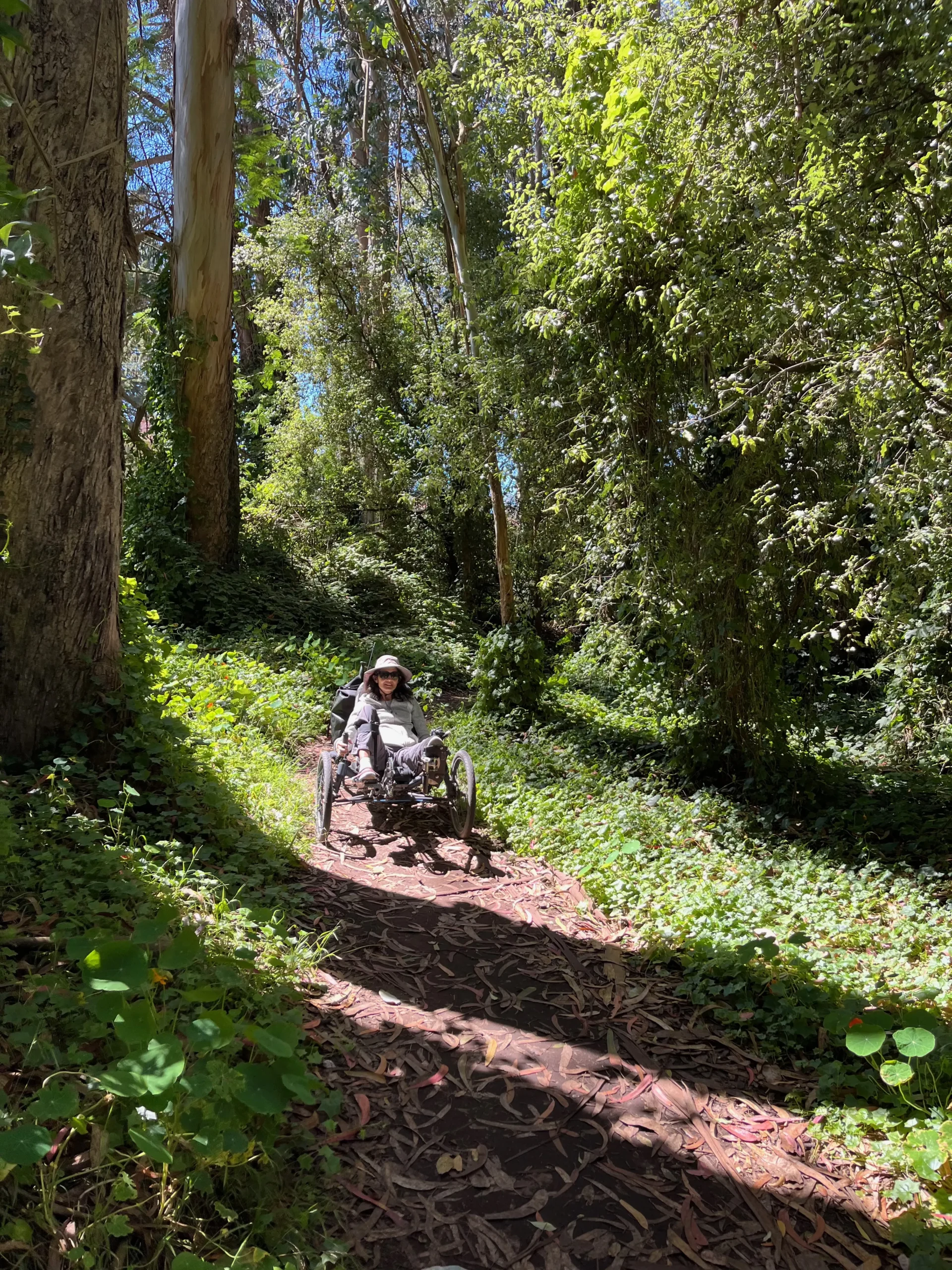 A person is seated in a wheeled sports chair on a narrow, sunlit forest path surrounded by vibrant greenery and tall trees.