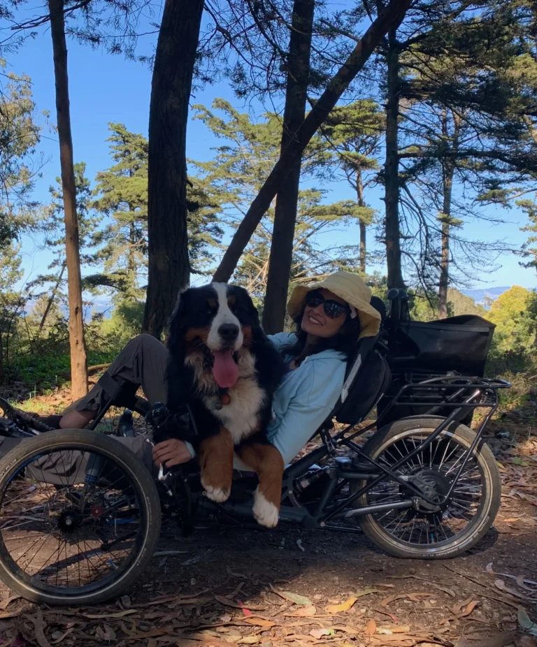 A person sits on a recumbent bike in a forest, happily holding a large, friendly Bernese Mountain Dog with a joyful expression.