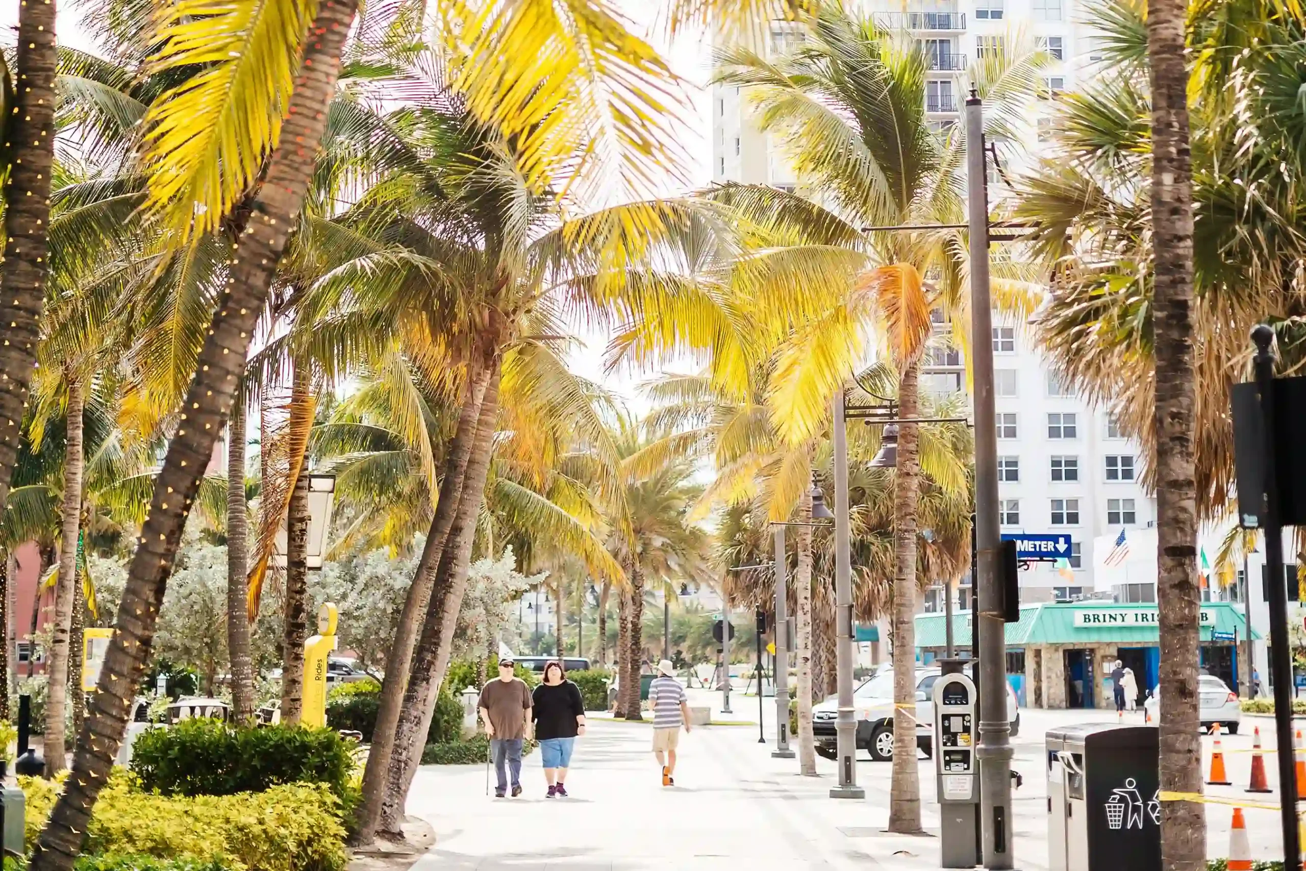 Palm-lined promenade in a coastal city with pedestrians, high-rise buildings, and vibrant shops under a sunny sky.