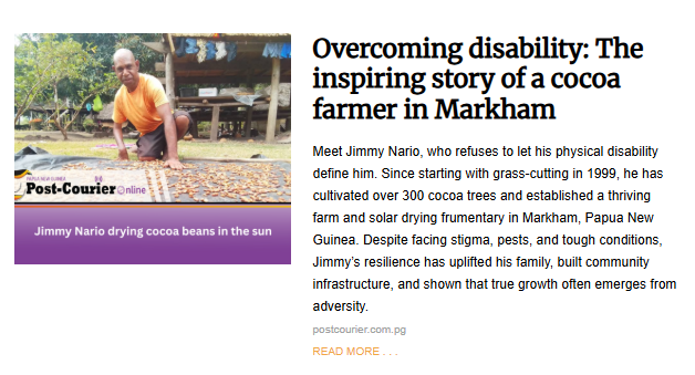 An image from an article about an inspiring cocoa farmer. It shows Jimmy Nario, a man with a physical disability, kneeling on the ground to dry cocoa beans in the sun.