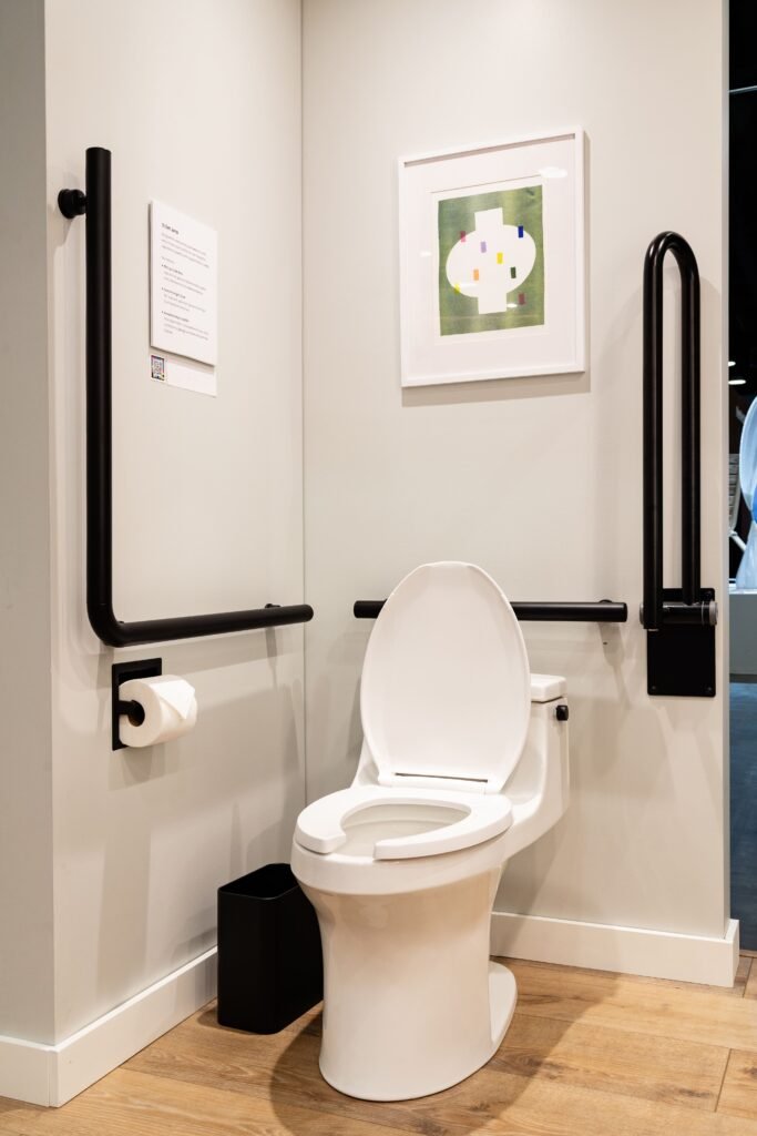 A slightly different angle of the accessible toilet area, with the toilet seat and lid in the raised position. The image prominently displays the black, L-shaped grab bar on the left with an integrated toilet paper holder, the black vertical support bar on the right, and the clean, modern white toilet. A colorful framed abstract print hangs on the wall, and a small informational sign is visible on the left wall.