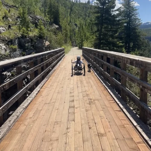 The image shows a serene outdoor scene on a wooden bridge surrounded by a forested, mountainous landscape. The bridge appears to be part of a trail, with lush greenery on both sides. In the middle of the bridge, a person using a wheelchair is seen, accompanied by a dog walking beside them. The person is moving forward along the bridge, facing away from the camera, toward the continuation of the trail. The sky above is mostly clear with a few scattered clouds, and the entire setting gives off a peaceful, adventurous atmosphere amidst nature.