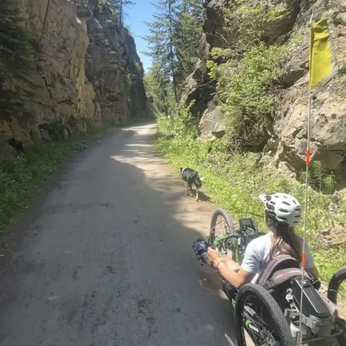 The image shows a person riding a handcycle along a scenic, narrow path between tall, rocky cliffs. The path appears to be unpaved, and the surrounding area is lush with greenery, including trees and shrubs growing along the rocks. The person is wearing a helmet, and a yellow flag is attached to the back of the handcycle for visibility. A dog is walking ahead of the cyclist, adding a sense of companionship. The scene is bathed in natural sunlight, highlighting the outdoor, adventurous atmosphere.